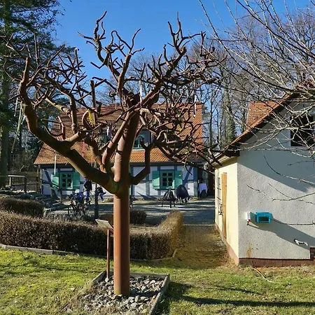 Apartment 4 - Gourmetzimmer Bestensee Exterior foto